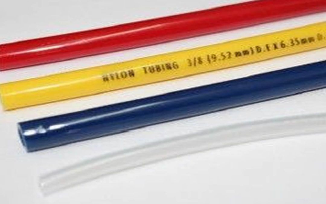 El Nylon