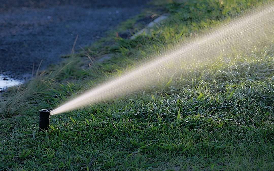 Cómo las Mangueras de Polietileno están Revolucionando la Industria del Riego